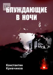 Константин Кривчиков - Блуждающие в ночи