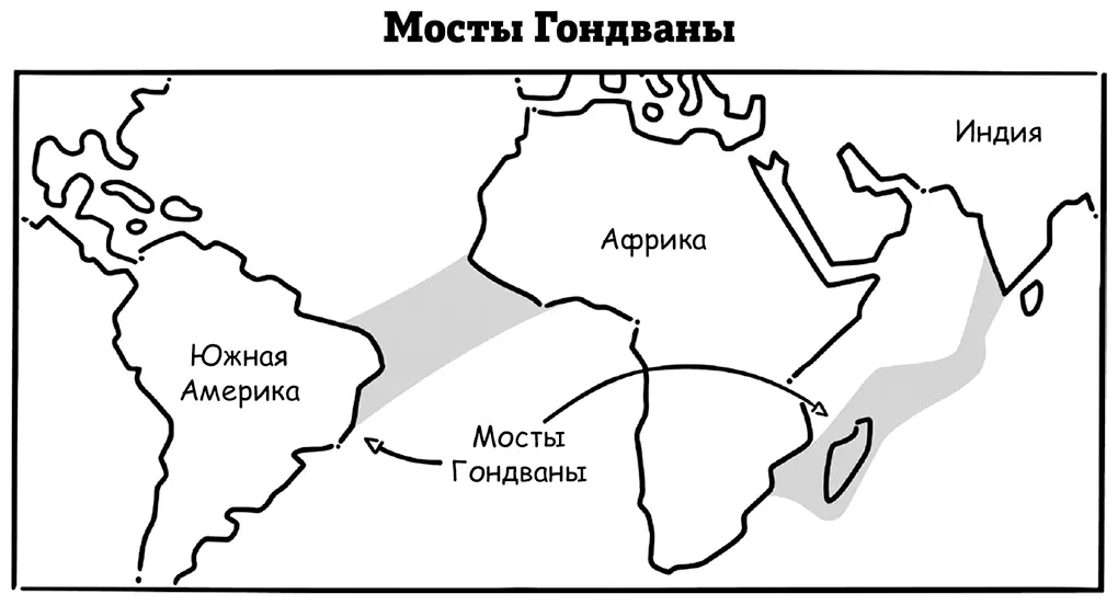 Сейчас мы знаем что так все и было все континенты раньше были сгруппированы в - фото 15