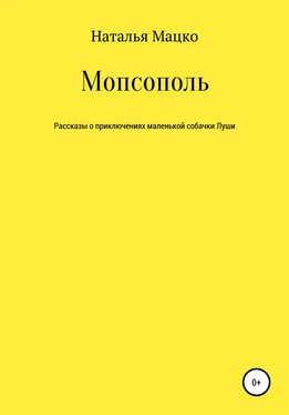 Наталья Мацко Мопсополь обложка книги