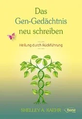 Shelley A. Kaehr - Das Gen-Gedächtnis neu schreiben