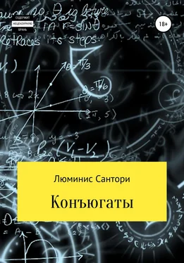 Люминис Сантори Конъюгаты обложка книги