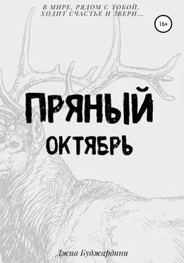 Джиа Буджардини Пряный октябрь обложка книги