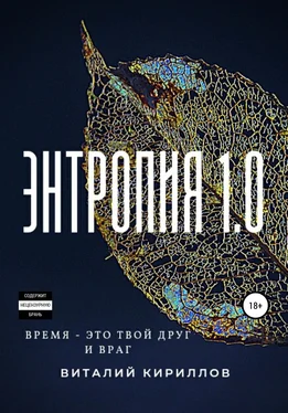 Виталий Кириллов Энтропия 1.0 обложка книги