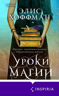 Элис Хоффман Уроки магии обложка книги