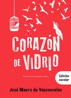 José Mauro de Vasconcelos Corazón de vidrio обложка книги