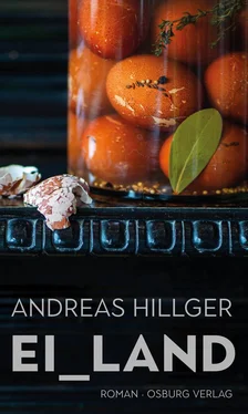 Andreas Hillger EI_LAND обложка книги