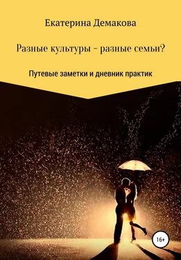 Екатерина Демакова Разные культуры – разные семьи? обложка книги