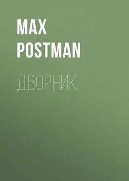 Max Postman Дворник обложка книги