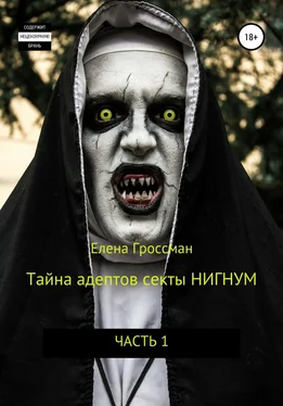 Елена ГРОССМАН Тайна адептов секты «Нигнум» обложка книги