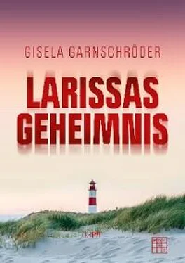 Gisela Garnschröder Larissas Geheimnis обложка книги