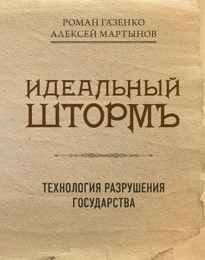 Роман Газенко Идеальный шторм. Технология разрушения государства обложка книги