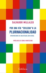 ﻿Salvador Millaleo - ﻿Por una vía chilena a la plurinacionalidad