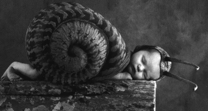 Рис 1 Безымянный рисунок взят из одной из интернетсетей Во всех учебниках - фото 1