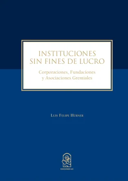 Luis Felipe Hûbner Instituciones sin fines de lucro обложка книги