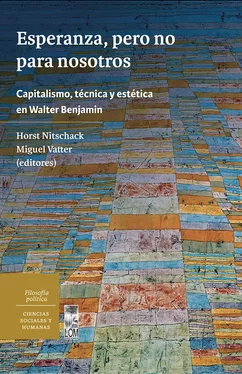 Horst Rolf Nitschack Nitschack Esperanza, pero no para nosotros. Capitalismo, técnica y estética en Walter Benjamin обложка книги