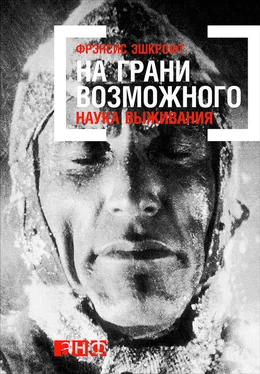 Фрэнсис Эшкрофт На грани возможного: Наука выживания обложка книги