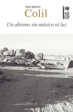 Juan Ignacio Colil Abricot Un abismo sin música ni luz обложка книги