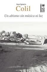 Juan Ignacio Colil Abricot - Un abismo sin música ni luz