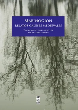 Varios autores Mabinogion. Relatos galeses medievales обложка книги