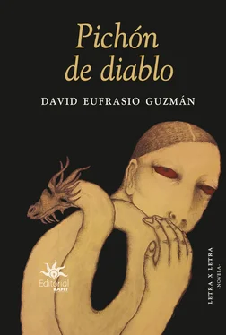 David Eufrasio Guzmán Pichón de diablo обложка книги