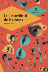 Brenda Ríos - La luz artificial de las cosas