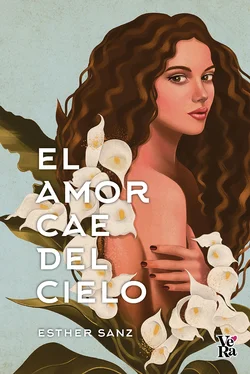 Esther Sanz El amor cae del cielo обложка книги