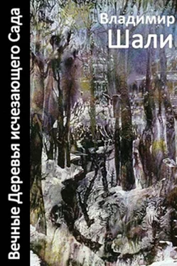 Владимир Шали Вечные деревья исчезающего сада-2 (сборник) обложка книги