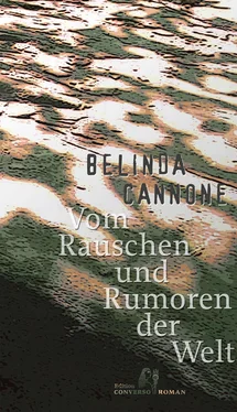 Belinda Cannone Vom Rauschen und Rumoren der Welt обложка книги