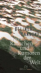 Belinda Cannone - Vom Rauschen und Rumoren der Welt