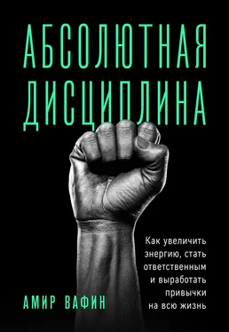 Амир Вафин Абсолютная дисциплина. Как увеличить энергию, стать ответственным и выработать привычки на всю жизнь обложка книги