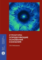 Татьяна Рябушкина - Структуроопределяющие основания сознания