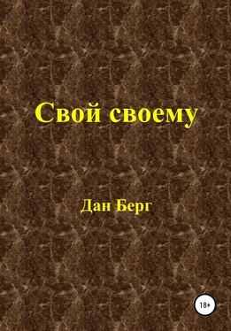 Дан Берг Свой своему обложка книги