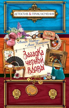 Анна Устинова Загадка черной вдовы обложка книги