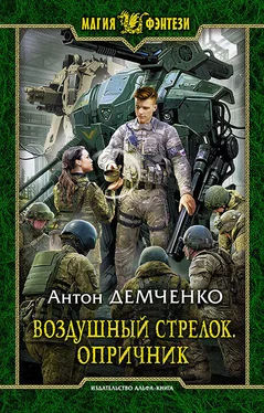 Антон Демченко Воздушный стрелок. Опричник обложка книги