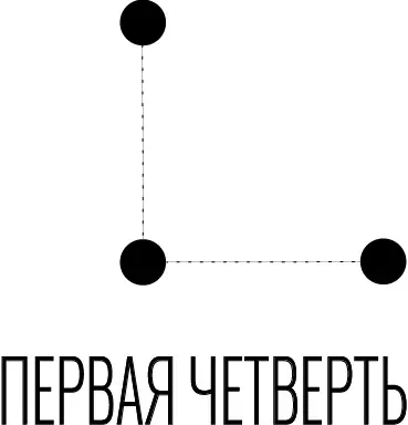 Мне и Джэй Би по тринадцать почти Близнецы Два противоположных щита на - фото 3