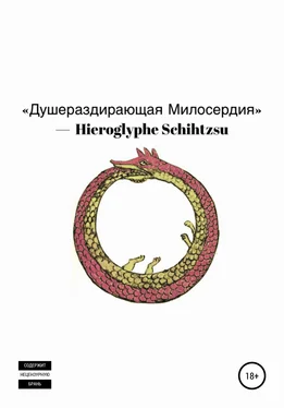 Hieroglyphe Schihtzsu Душераздирающая Милосердия обложка книги