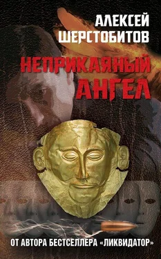 Алексей Шерстобитов Неприкаяный ангел обложка книги