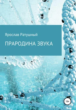 Ярослав Ратушный Прародина звука обложка книги