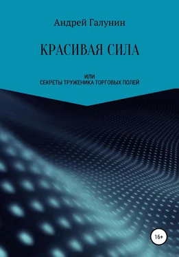 Андрей Галунин Красивая сила, или Секреты труженика торговых полей обложка книги