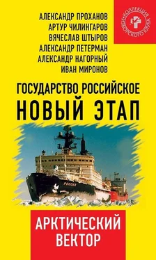 Коллектив авторов Государство Российское. Новый этап. Арктический вектор обложка книги