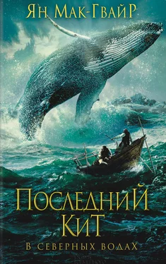 Ян Мак-Гвайр Последний кит. В северных водах обложка книги