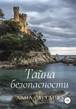 Лана Светлова Тайна безопасности обложка книги