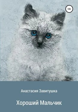 Анастасия Завитушка Хороший мальчик обложка книги