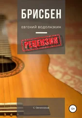 Сергей Овчинников - Евгений Водолазкин. Брисбен. Рецензия