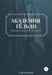Сия Камери - Академия Гёльди