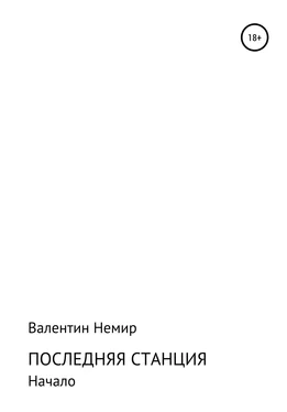 Валентин Немир Последняя станция обложка книги