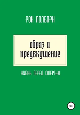 Рон Полборн Образ и предвкушение обложка книги