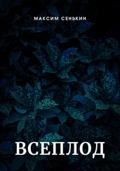 Максим Сенькин - Всеплод