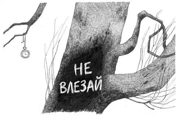 Сад со всех сторон окружала высокая каменная стена окрашенная тут и там - фото 4
