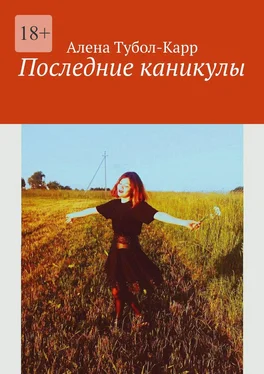 Алена Тубол-Карр Последние каникулы обложка книги